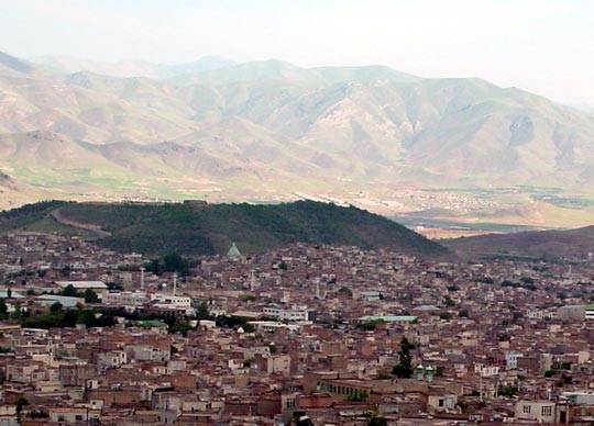 [تصویر:  توس نوزر.jpg]